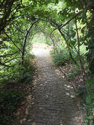 garden path